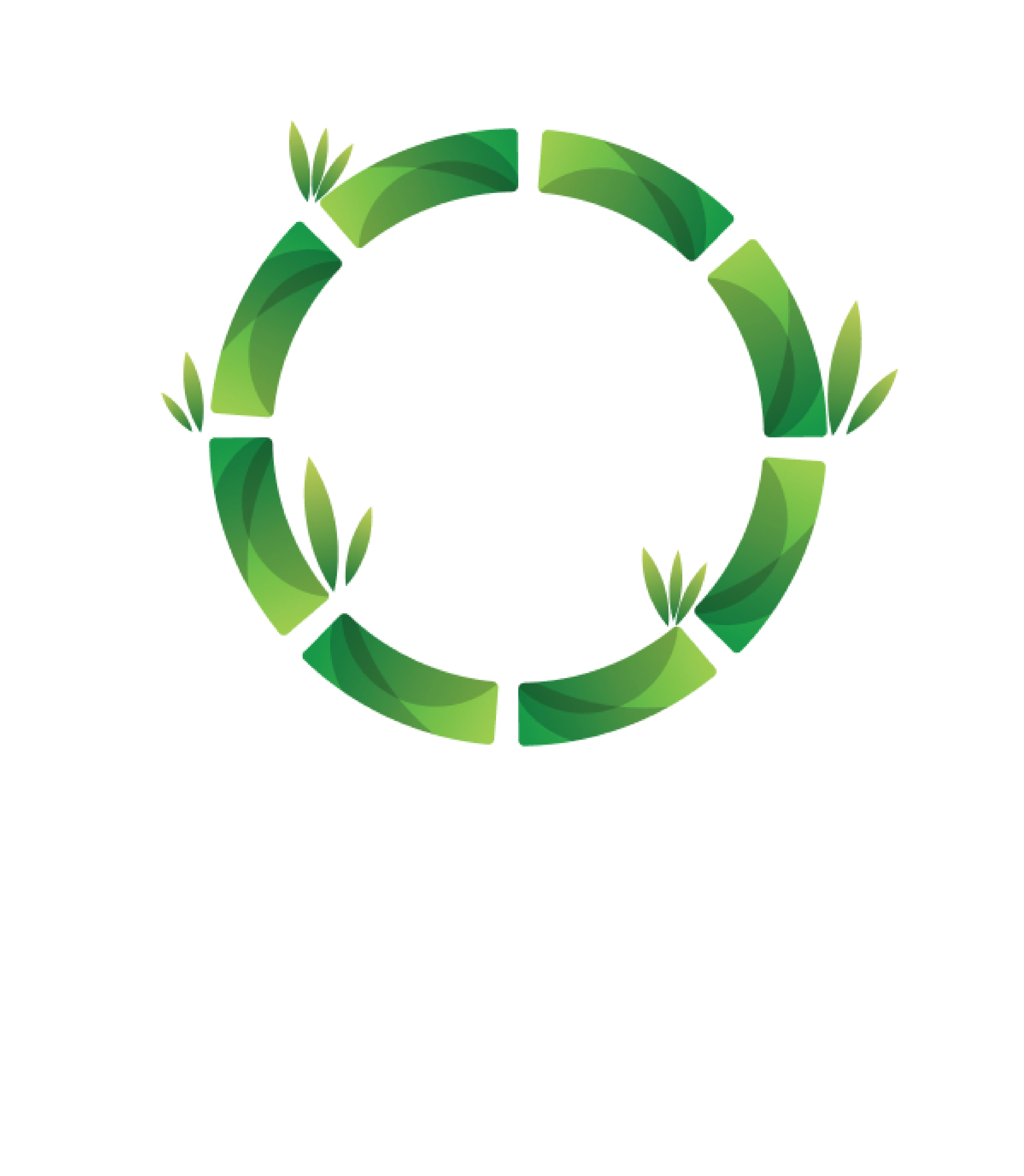 Logo BBO TECH — vòng tròn tre và mạng lưới dữ liệu