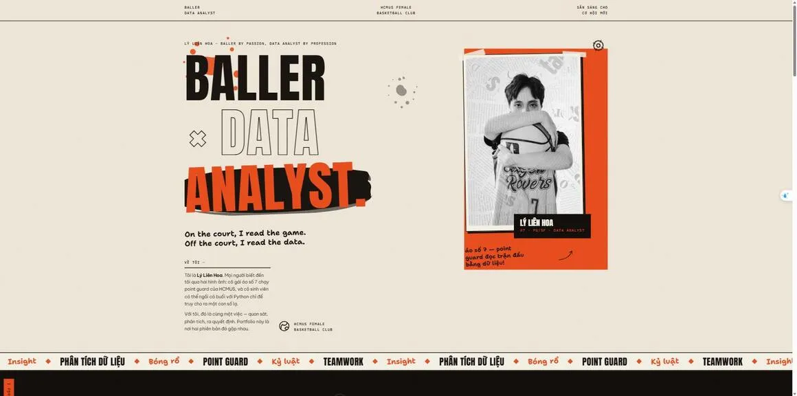 Mẫu portfolio data analyst Lý Liên Hoa — trang chủ
